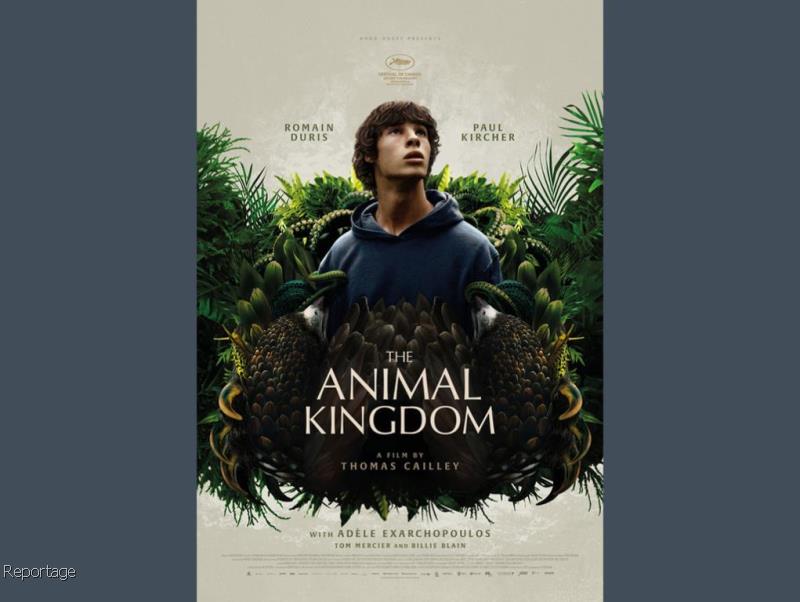 نقد فیلم The Animal Kingdom