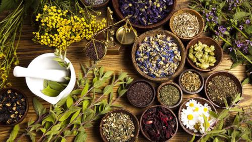 بیانیه بسیج دانشجویی درباره تشكیل سازمان طب سنتی