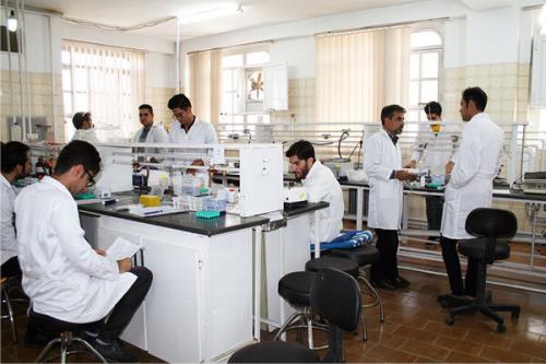 دانشجویان دكتری رشته های علوم شناختی حمایت می شوند