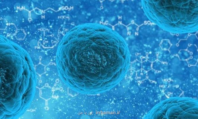 استفاده از سلول های بنیادی برای دارورسانی به بافت های لطمه دیده از کووید-19