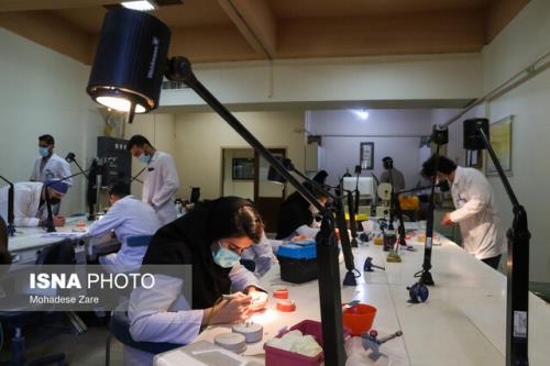 افزایش ظرفیت دندانپزشکی به جز تضییع بیت المال و لطمه به سلامت مردم دستاوردی نخواهد داشت