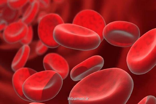 برگزاری مجموعه دوره آموزشی نظریه و تکنیکال هماتولوژی