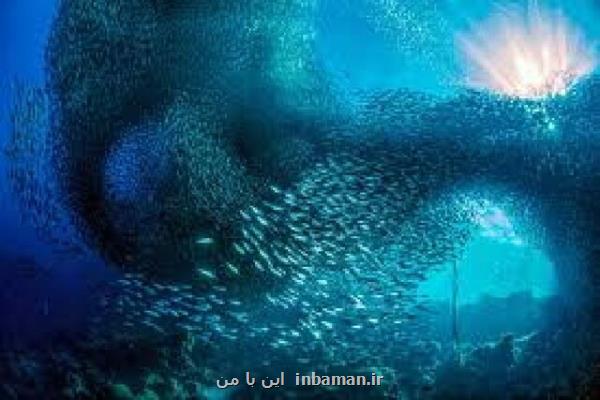 روز بیان سخاوت دریا و آشتی انسان با آن