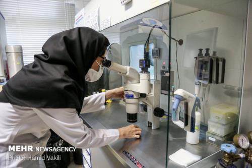 افزایش میزان تسهیلات اعطایی به طرح های تحقیقاتی دانشجویی