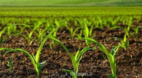 نهاده های كشاورزی تا تولید محصول نهایی رصد می شوند
