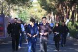 علوم انسانی بیشترین دانش آموخته را دارد، استانهای پیشتاز
