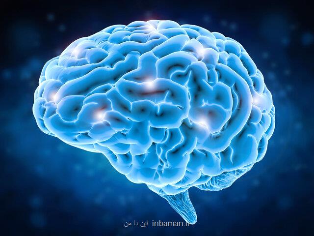 مراسم هفته آگاهی از مغز  به سال آینده موكول شد