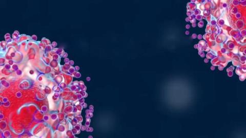 نقش میتوكندری در مبارزه با تب حصبه