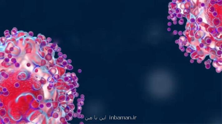 نقش میتوكندری در مبارزه با تب حصبه