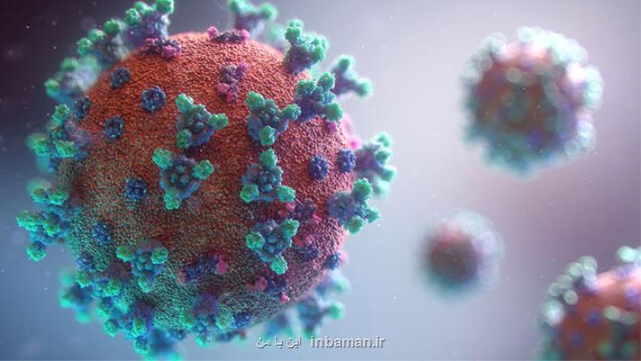 آیا كووید-19 بوسیله مدفوع منتقل می شود؟