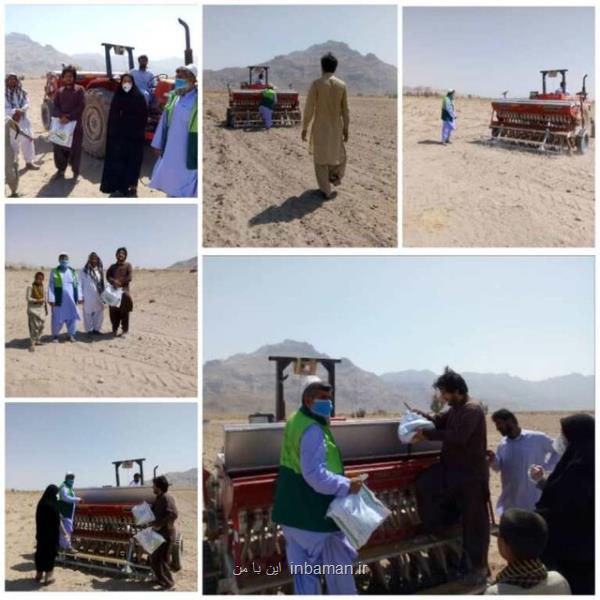 قرارداد كشت ۱۶۰۰ هكتار كلزا در سیستان و بلوچستان منعقد شده است