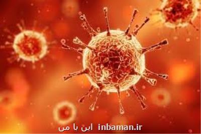 ابزار جدیدی برای پیش بینی نتایج ناشی از كووید-۱۹